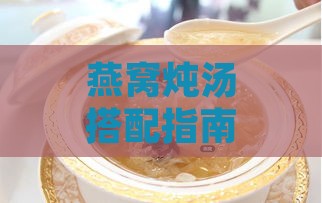 燕窝炖汤搭配指南：全面解析滋阴食材与炖煮技巧