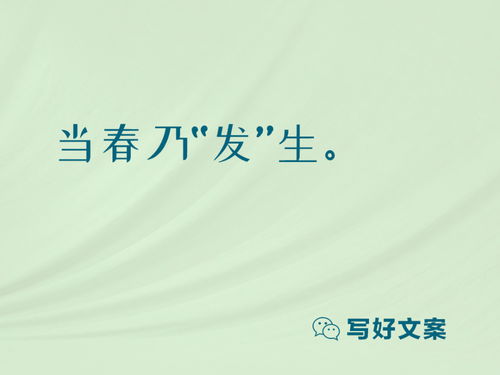 穷人的燕窝说说：创意文案与深层含义解析