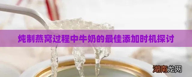 炖制燕窝过程中牛奶的更佳添加时机探讨