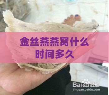 金丝燕燕窝什么时间多久