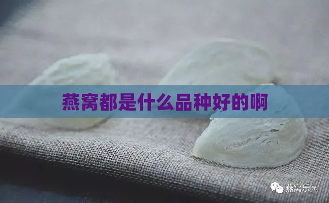 燕窝都是什么品种好的啊