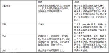 开设干燕窝批发店所需完整证件清单及办理流程指南