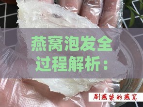 燕窝泡发全过程解析：形态、技巧与注意事项详解