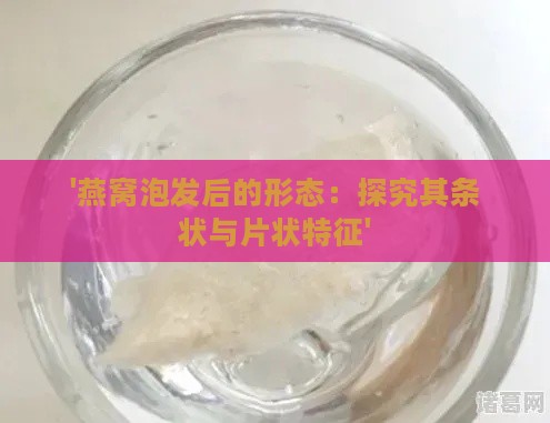 '燕窝泡发后的形态：探究其条状与片状特征'