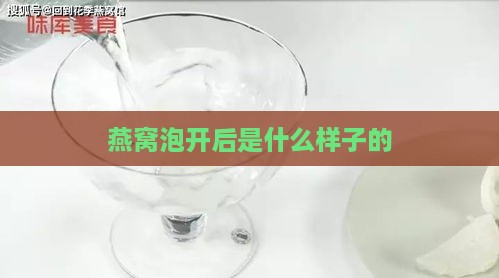 燕窝泡开后是什么样子的