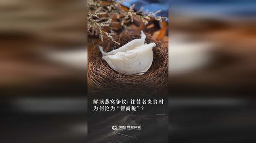 揭秘与燕窝外观相似的珍贵食材