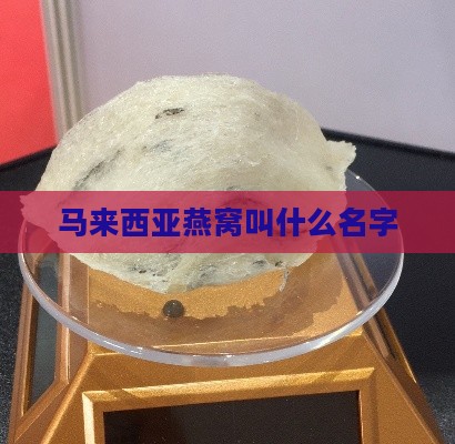 马来西亚燕窝叫什么名字