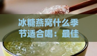 冰糖燕窝什么季节适合喝：更佳饮用季节与时间探究