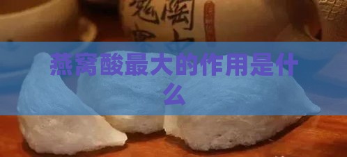 燕窝酸更大的作用是什么