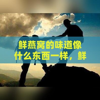 鲜燕窝的味道像什么东西一样，鲜美程度令人难忘