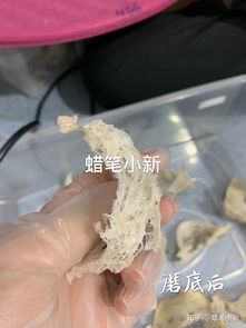 用什么镊子挑燕窝比较好用：燕窝挑毛推荐镊子选择