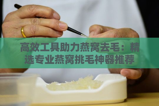 高效工具助力燕窝去毛：精选专业燕窝挑毛神器推荐