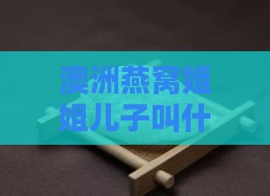 澳洲燕窝姐姐儿子叫什么名字：这个名字既好听又让人难忘！