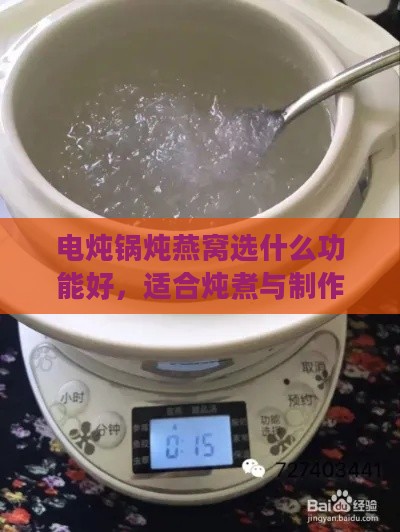 电炖锅炖燕窝选什么功能好，适合炖煮与制作燕窝的详细功能指南