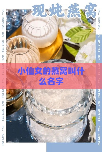 小仙女的燕窝叫什么名字