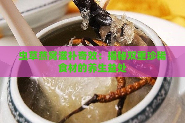 虫草燕窝滋补奇效：揭秘双重珍稀食材的养生益处