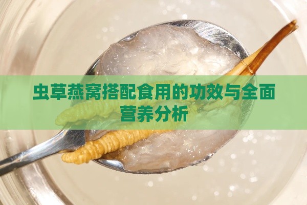 虫草燕窝搭配食用的功效与全面营养分析