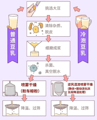 深入了解豆乳制作：全面教程、经典配方与实用窍门指南