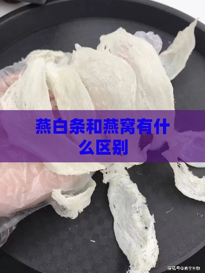 燕白条和燕窝有什么区别