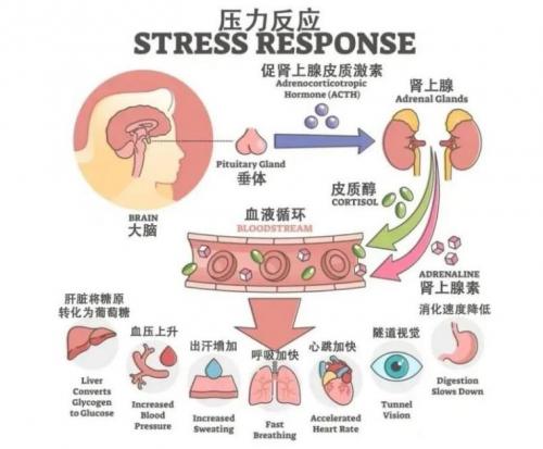 燕窝中间发黑是什么原因导致及其引起的因素详解