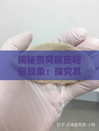 揭秘燕窝底座粘碎现象：探究其成因与影响