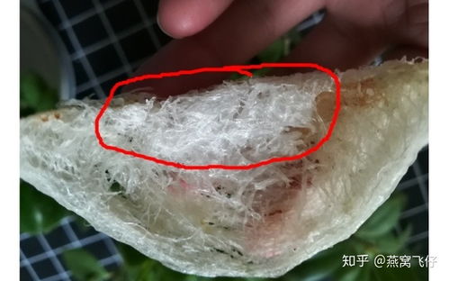 燕窝底座粘碎是什么意思