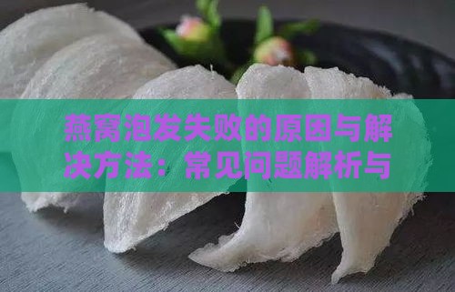 燕窝泡发失败的原因与解决方法：常见问题解析与处理技巧