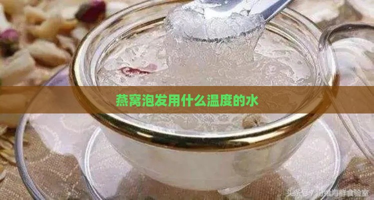 燕窝泡发用什么温度的水