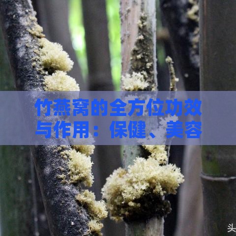 竹燕窝的全方位功效与作用：保健、美容及食用指南