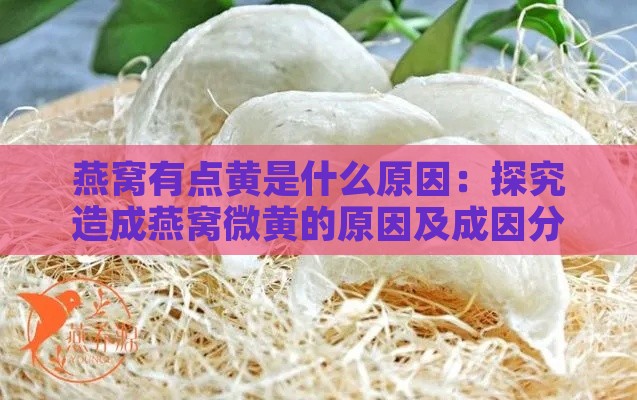 燕窝有点黄是什么原因：探究造成燕窝微黄的原因及成因分析