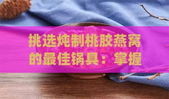 挑选炖制桃胶燕窝的更佳锅具：掌握炖煮窍门与技巧