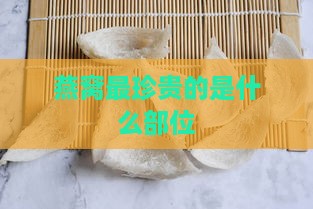 燕窝最珍贵的是什么部位