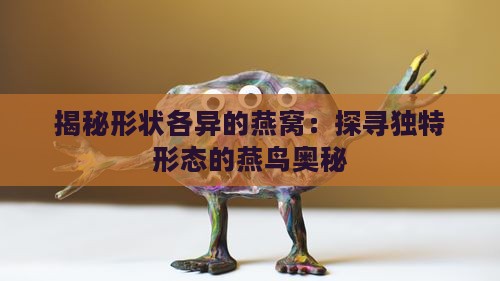 揭秘形状各异的燕窝：探寻独特形态的燕鸟奥秘