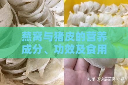 燕窝与猪皮的营养成分、功效及食用差异全面解析