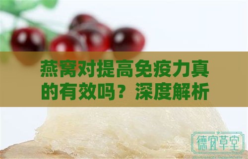 燕窝对提高免疫力真的有效吗？深度解析燕窝的免疫调节作用与科学食用方法