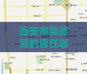 西安市卖燕窝的店在哪里：地址、进货渠道一览