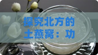 探究北方的土燕窝：功效、用途与食用方法全解析