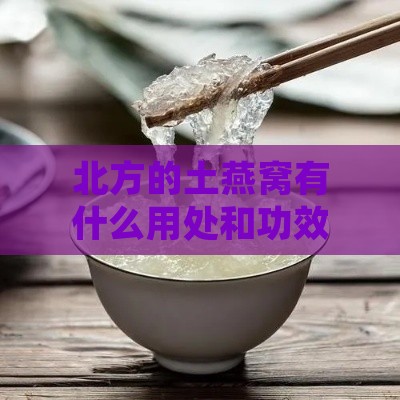 北方的土燕窝有什么用处和功效：其作用与功效详解