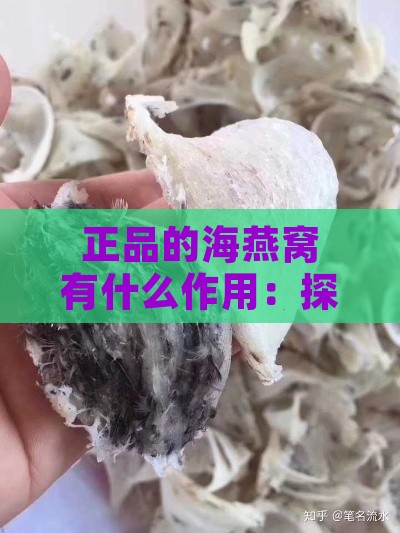 正品的海燕窝有什么作用：探究其独特功效与营养价值