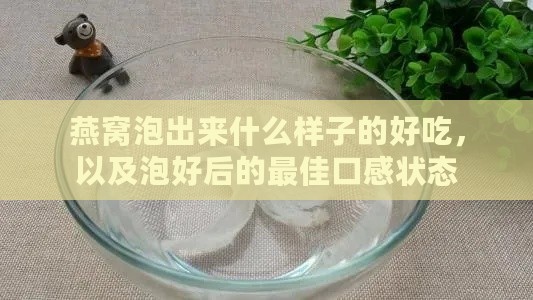 燕窝泡出来什么样子的好吃，以及泡好后的更佳口感状态