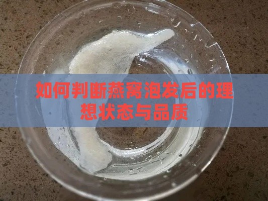 如何判断燕窝泡发后的理想状态与品质