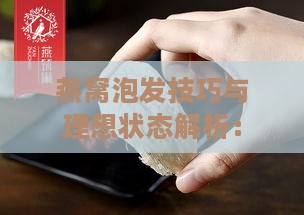 燕窝泡发技巧与理想状态解析：如何判断燕窝泡发是否达标