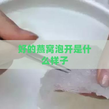 好的燕窝泡开是什么样子