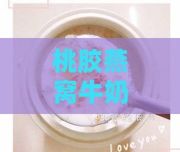 桃胶燕窝牛奶用什么锅炖