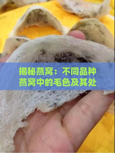 揭秘燕窝：不同品种燕窝中的毛色及其处理方法