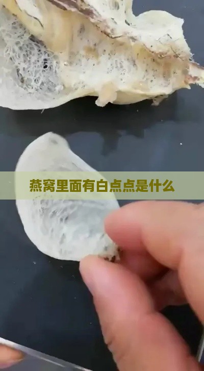 燕窝里面有白点点是什么