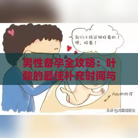 男性备孕全攻略：叶酸的更佳补充时间与全面营养建议