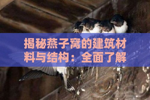 揭秘燕子窝的建筑材料与结构：全面了解燕子如何搭建家园