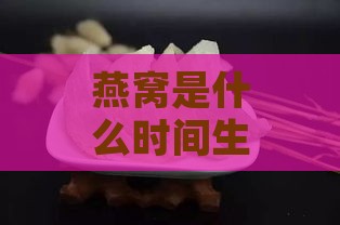 燕窝是什么时间生产的好吃：哪个季节的燕窝口感更佳？