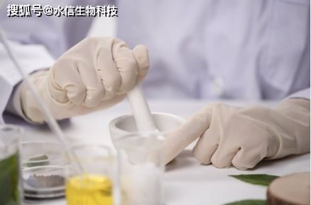 燕窝的主要成分与食用安全性：揭秘营养价值和适宜人群